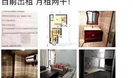 最新房间爆料,奢华装修与独特设计大曝光