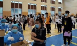 浙江野猪最新爆料消息,揭秘神秘生物的生存现状与挑战