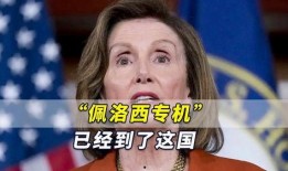 佩洛西最新爆料半小时,揭秘半小时内震惊内幕！