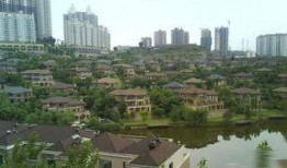 重庆棕榈泉爆料最新消息,揭秘神秘项目背后的惊人真相