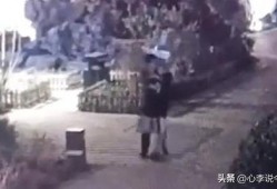 平遥吃瓜最新事件爆料视频,最新爆料视频揭秘惊人内幕