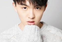 郑伟爆料视频大全集最新,揭秘背后惊人真相