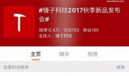 西安网红锤子最新爆料,揭秘网红背后的故事与真相