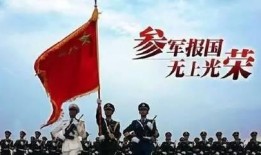 今年金秋爆料最新消息,揭秘今年秋季最热话题与潮流趋势