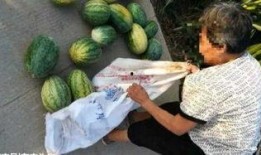 郴州吃瓜最新事件爆料,揭秘背后惊人真相，网络舆论漩涡再起