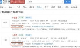 小慧视频爆料最新网站大全,最新网站大全大揭秘