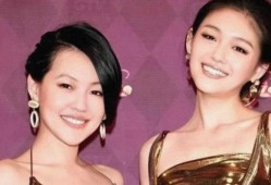 台媒曝大s最新爆料,揭秘娱乐圈不为人知的一面