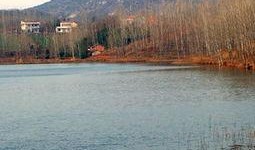 团湖水库爆料最新消息,揭秘水质改善与生态保护新进展