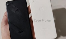 se3价格最新爆料,市场波动下的价格走势分析