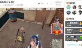 火线妹最新爆料,揭秘游戏界幕后风云