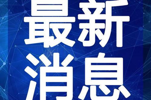 张老板最新爆料视频汇总,揭秘行业内幕与惊人真相