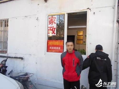 上海保姆案爆料最新,真相大白，法律终将给出公正裁决