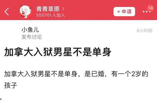 新瓜最新爆料消息视频,视频揭秘事件真相，精彩瞬间不容错过